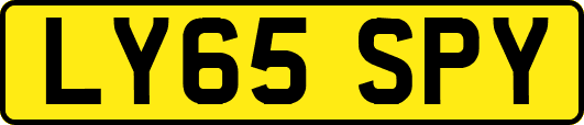 LY65SPY
