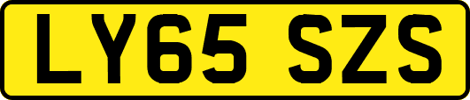 LY65SZS