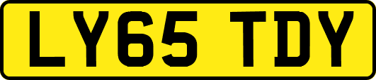 LY65TDY