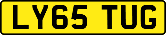 LY65TUG