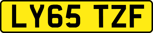 LY65TZF