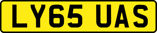 LY65UAS