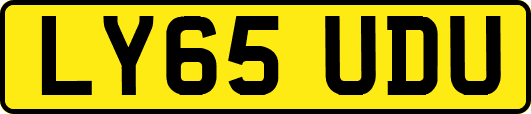 LY65UDU