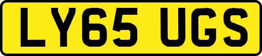 LY65UGS