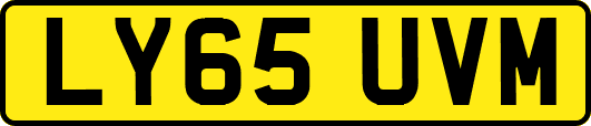 LY65UVM