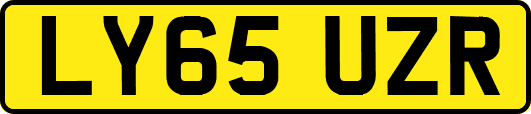 LY65UZR