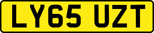 LY65UZT