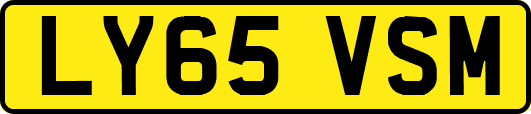 LY65VSM