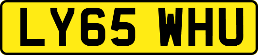 LY65WHU