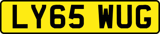 LY65WUG