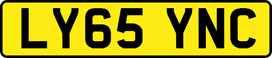LY65YNC