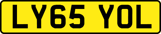 LY65YOL