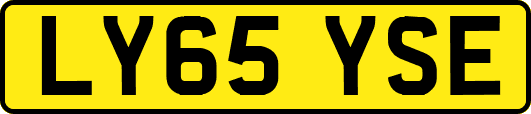LY65YSE