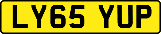 LY65YUP