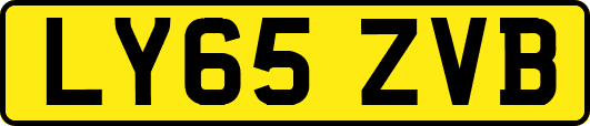 LY65ZVB