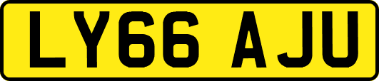 LY66AJU
