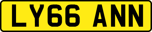 LY66ANN