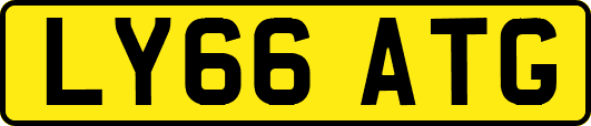 LY66ATG