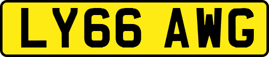 LY66AWG