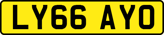 LY66AYO