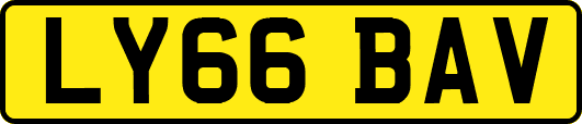 LY66BAV