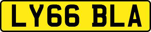 LY66BLA
