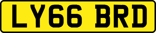 LY66BRD