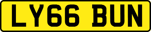 LY66BUN