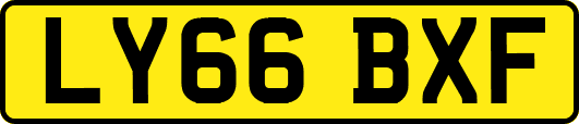 LY66BXF