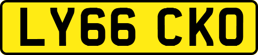 LY66CKO