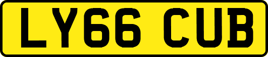 LY66CUB