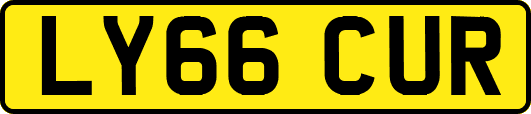 LY66CUR