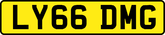 LY66DMG