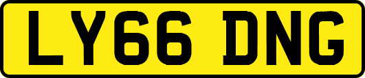 LY66DNG