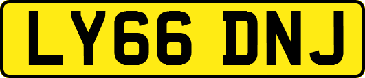 LY66DNJ