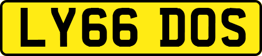 LY66DOS
