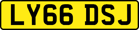LY66DSJ