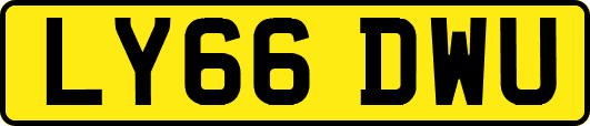 LY66DWU
