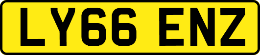 LY66ENZ