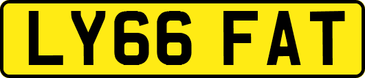 LY66FAT
