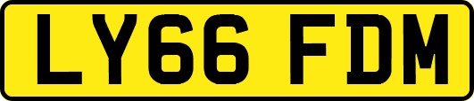 LY66FDM