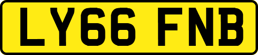 LY66FNB