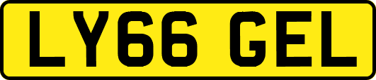 LY66GEL