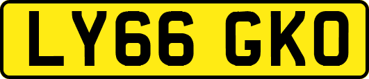 LY66GKO
