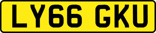 LY66GKU