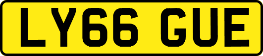 LY66GUE
