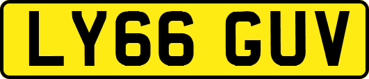 LY66GUV