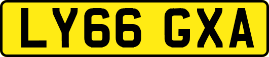 LY66GXA