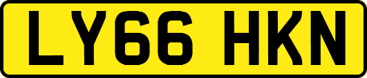 LY66HKN