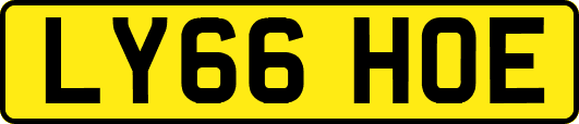 LY66HOE
